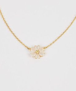 Mysoar.shop1f3fb369b7 2