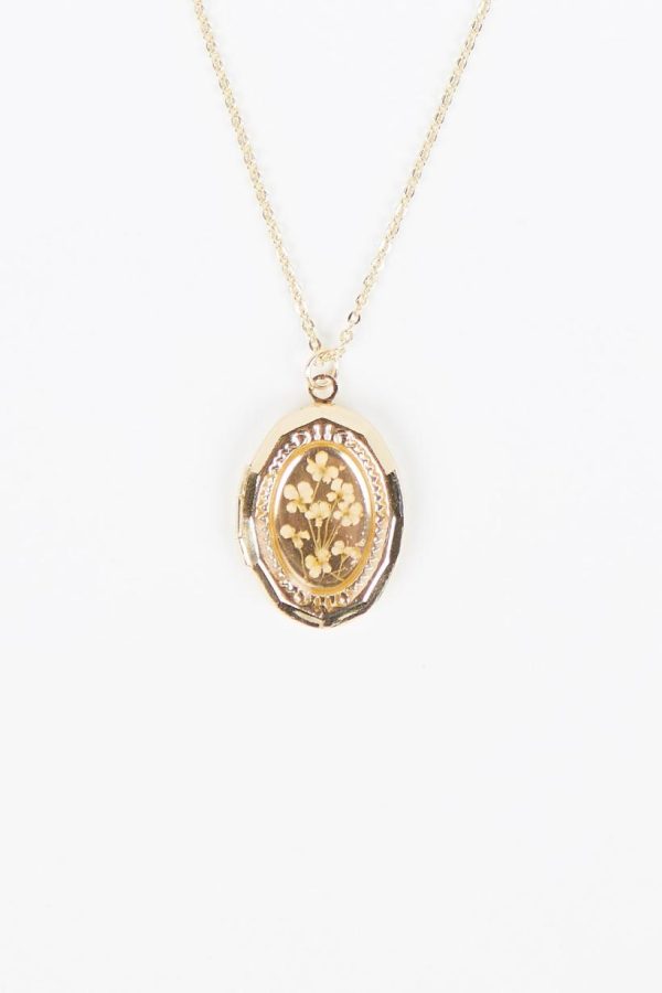 Mysoar.shop5b93fd06fa 2