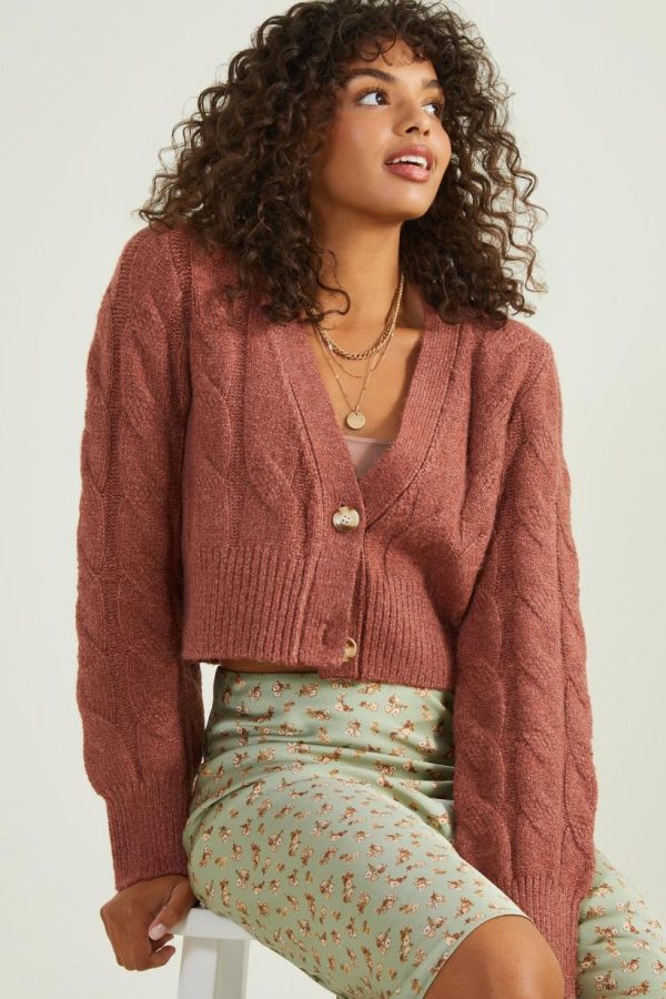 Mysoar.shop5c52198e75 3