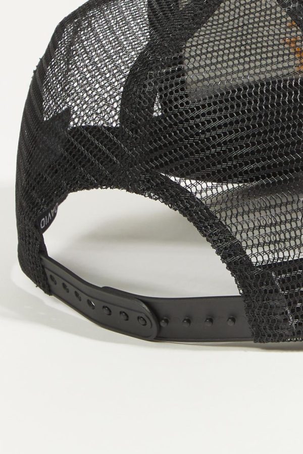 Mysoar.shop5d5d80afbb 3