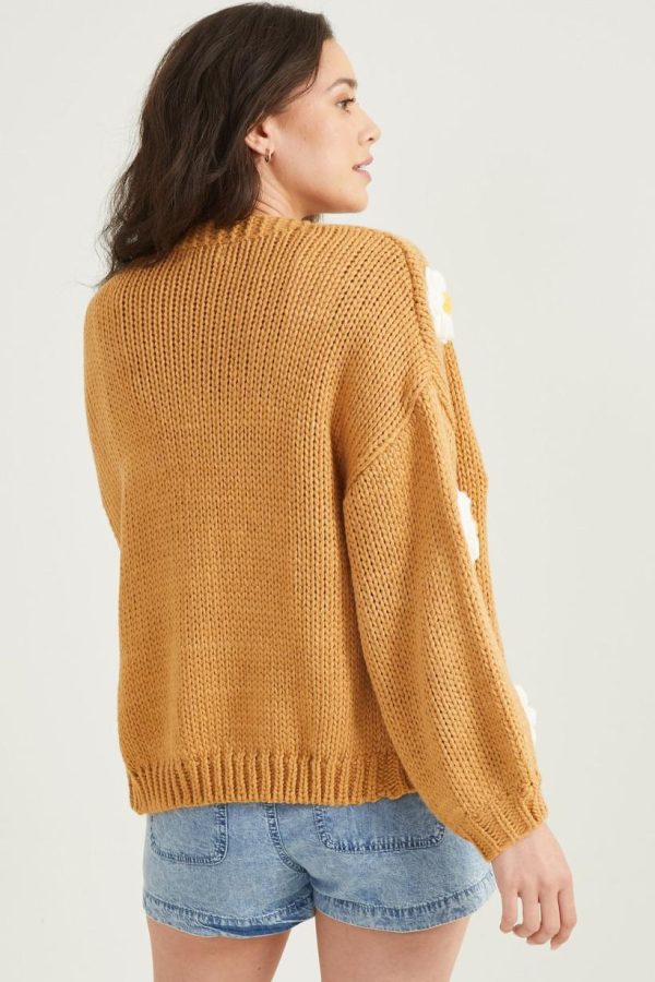 Mysoar.shop60a19d3a03 4