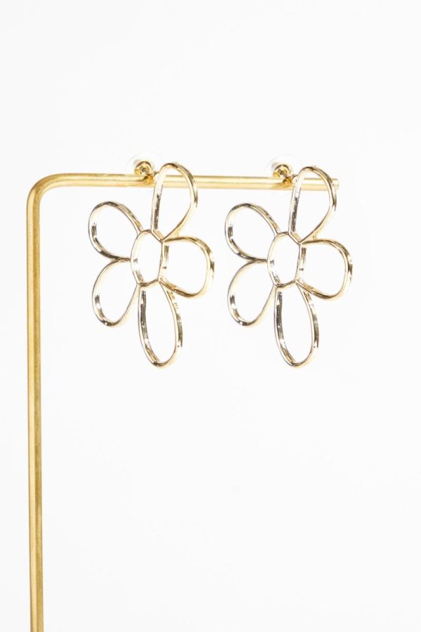 Mysoar.shop647876eb8e 1