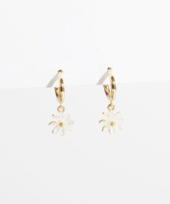 Mysoar.shop8c67b36c55 2